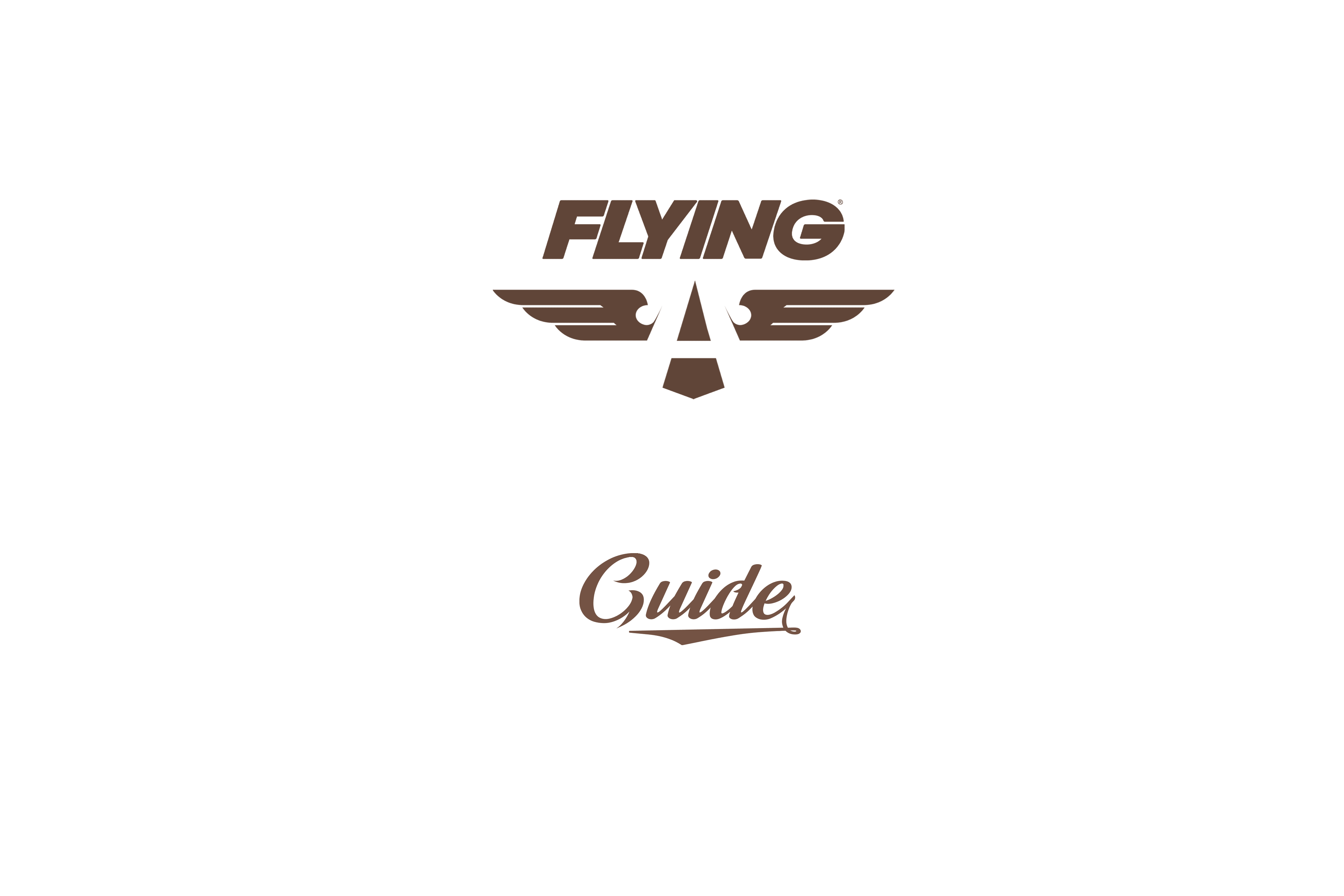 FLYING Flight
							 School Guide